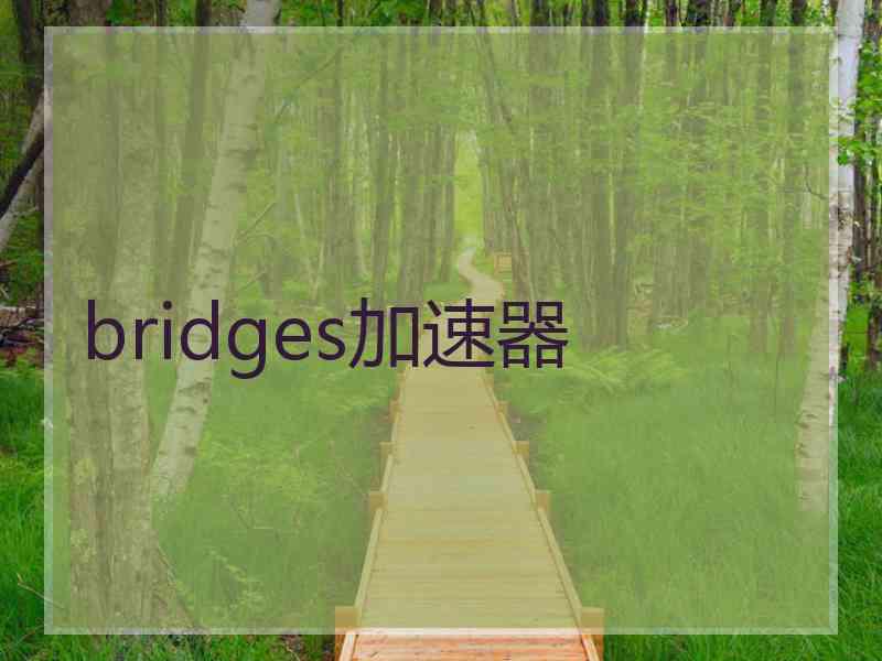 bridges加速器