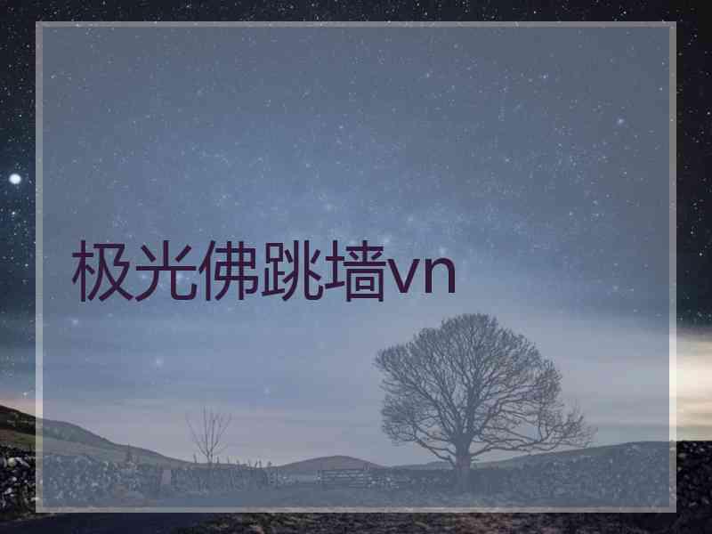 极光佛跳墙vn