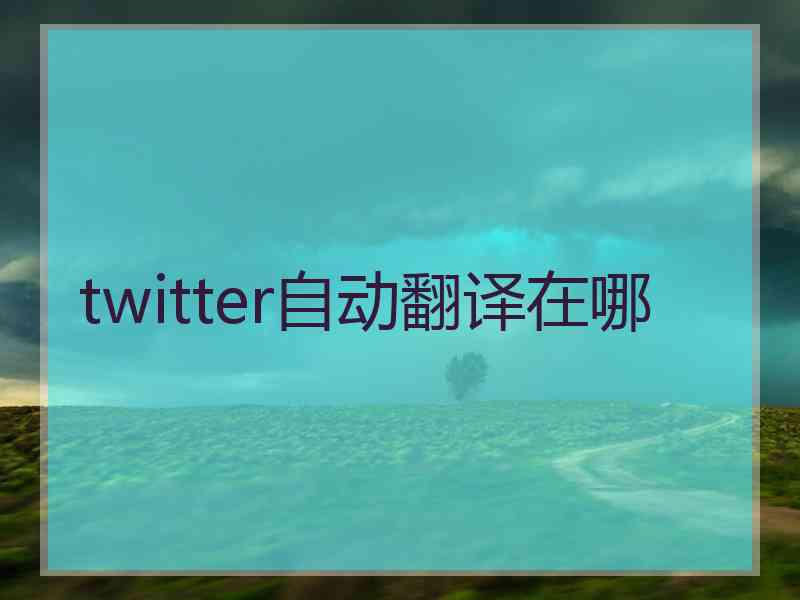 twitter自动翻译在哪