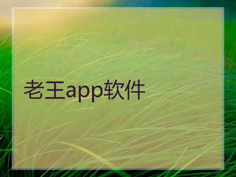 老王app软件