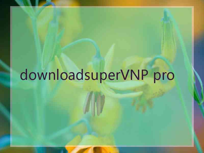 downloadsuperVNP pro