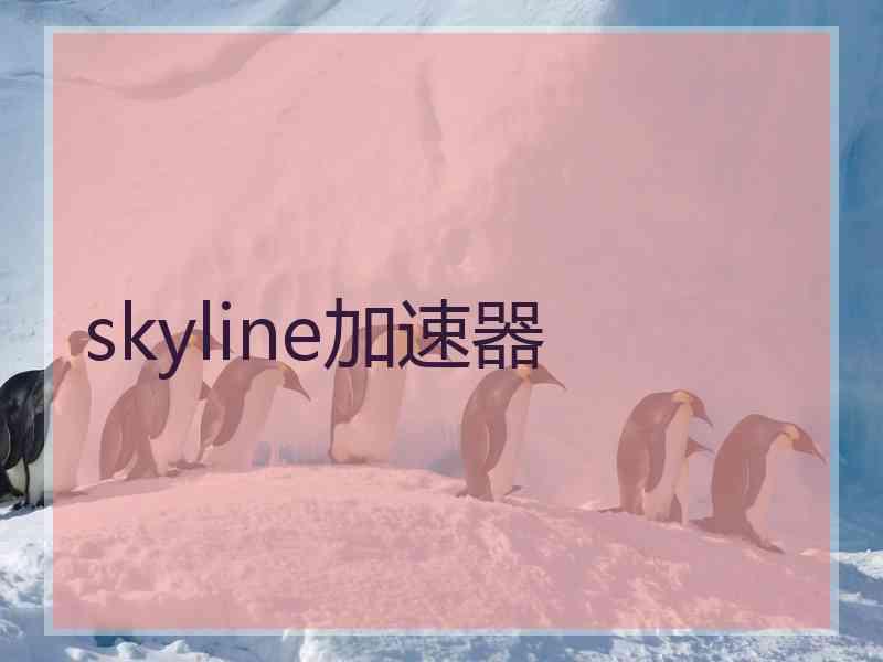 skyline加速器