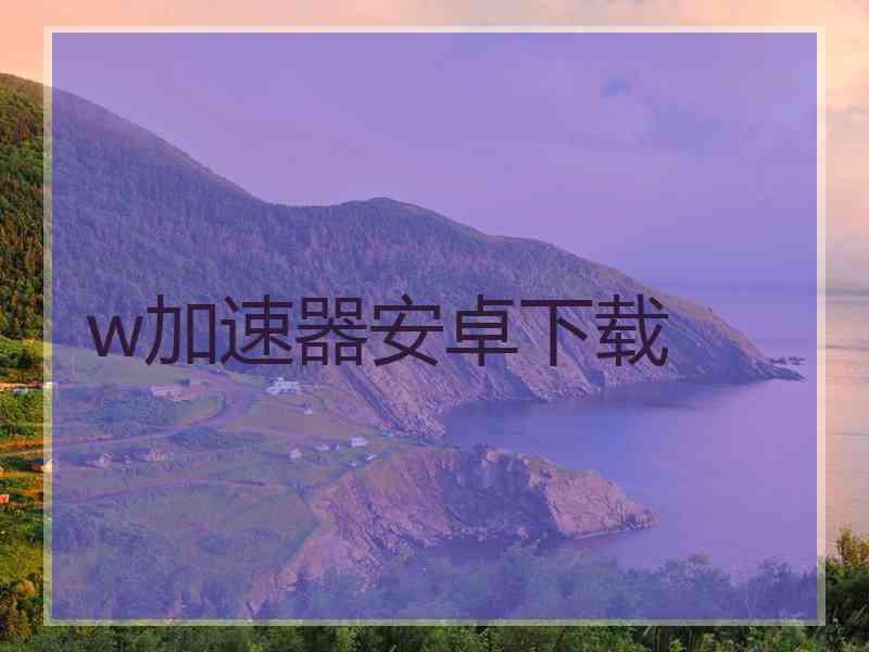 w加速器安卓下载