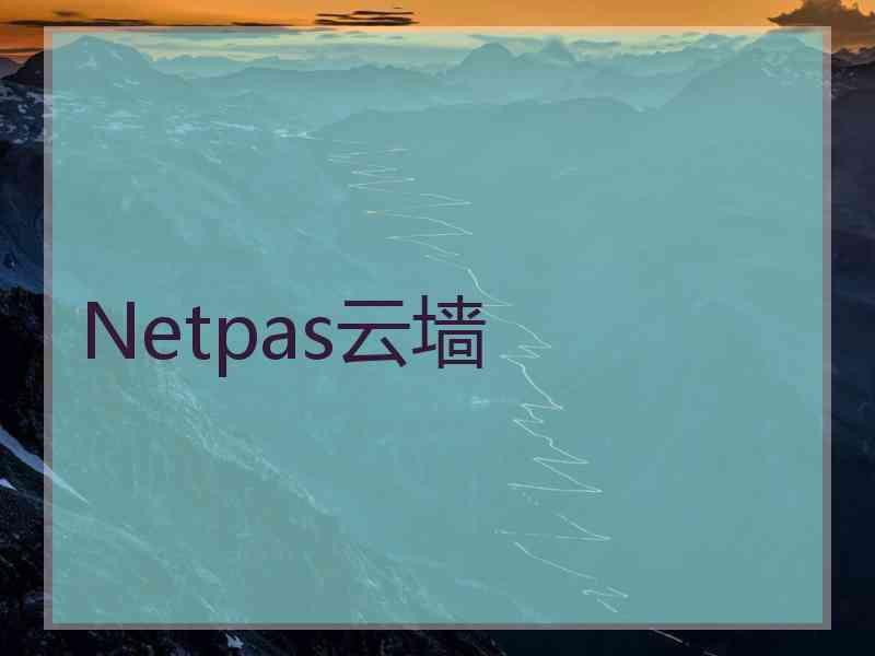 Netpas云墙