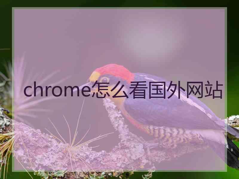 chrome怎么看国外网站