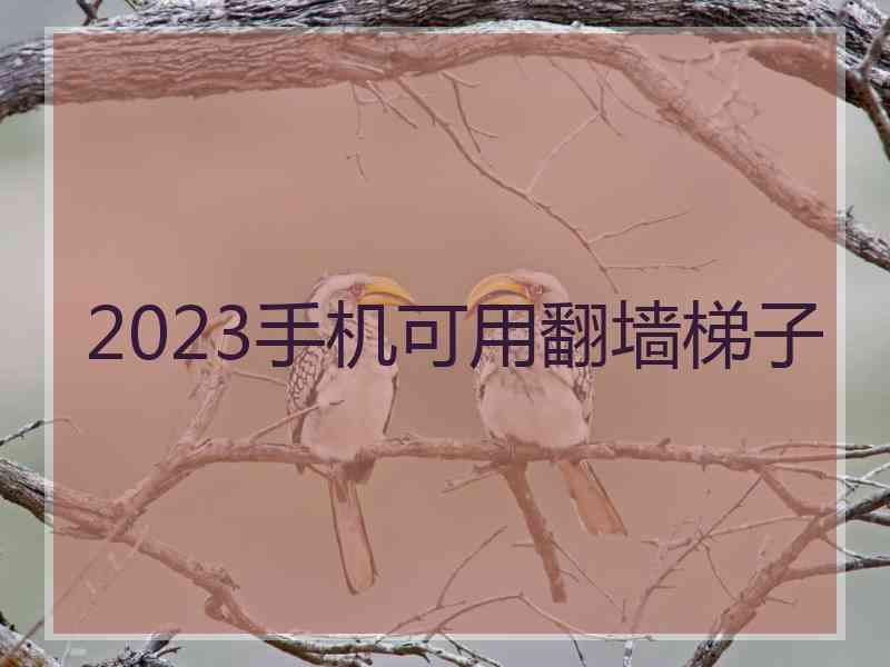 2023手机可用翻墙梯子