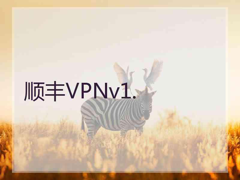 顺丰VPNv1.