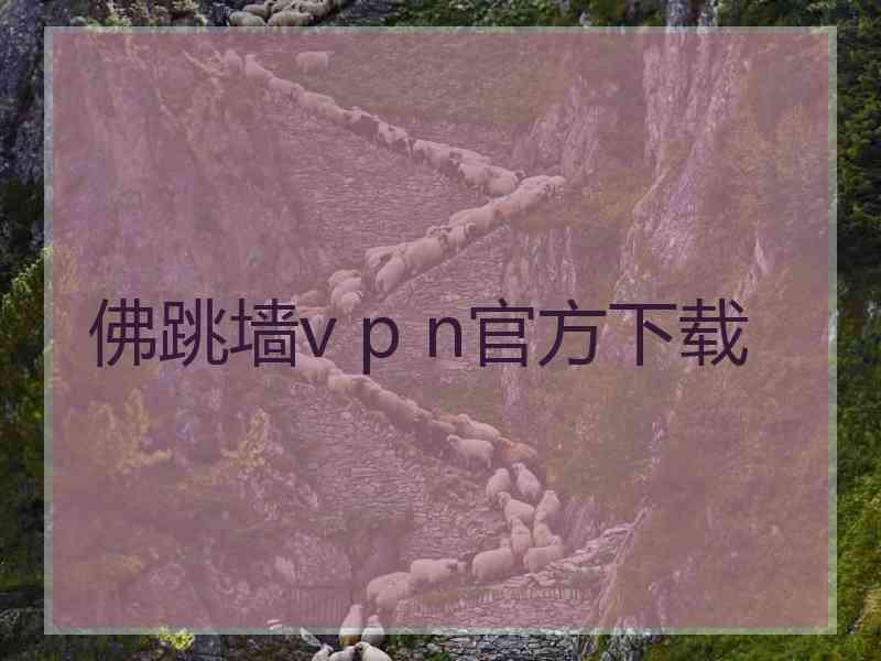 佛跳墙v p n官方下载