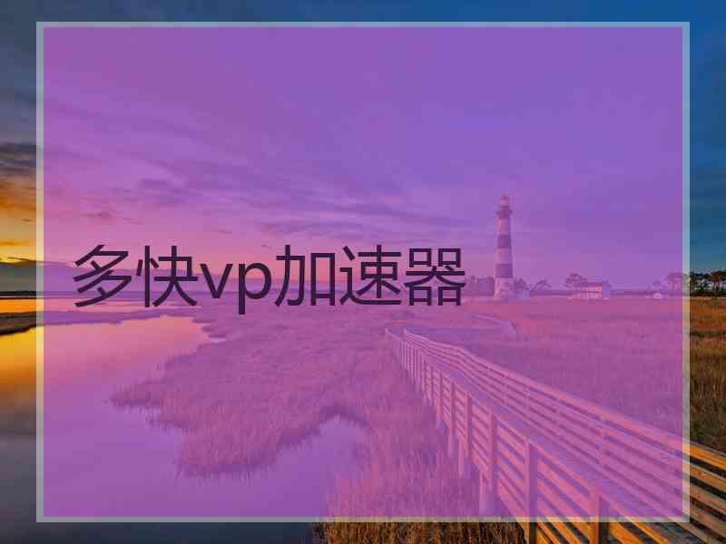 多快vp加速器