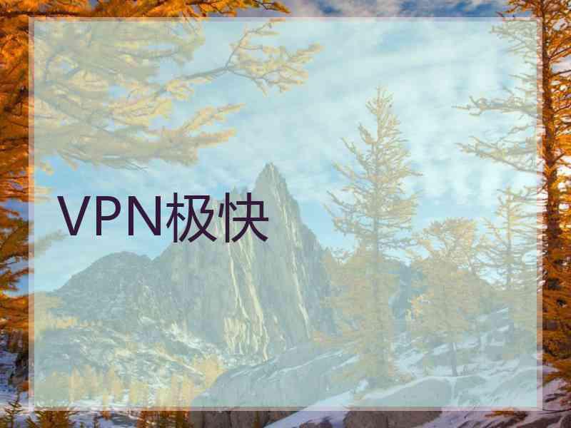 VPN极快