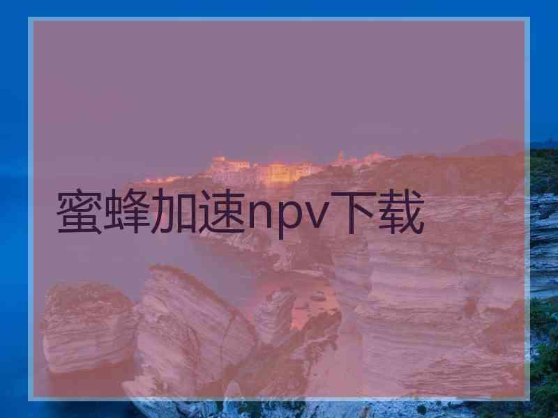 蜜蜂加速npv下载