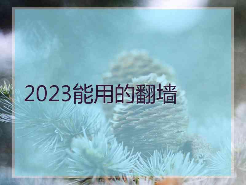 2023能用的翻墙