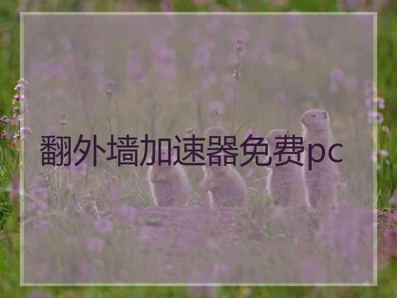 翻外墙加速器免费pc