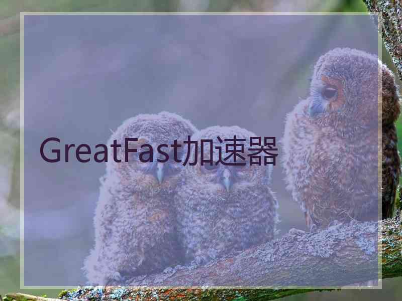 GreatFast加速器