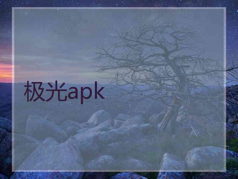 极光apk