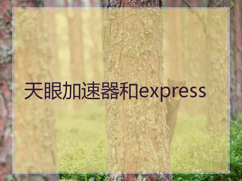 天眼加速器和express