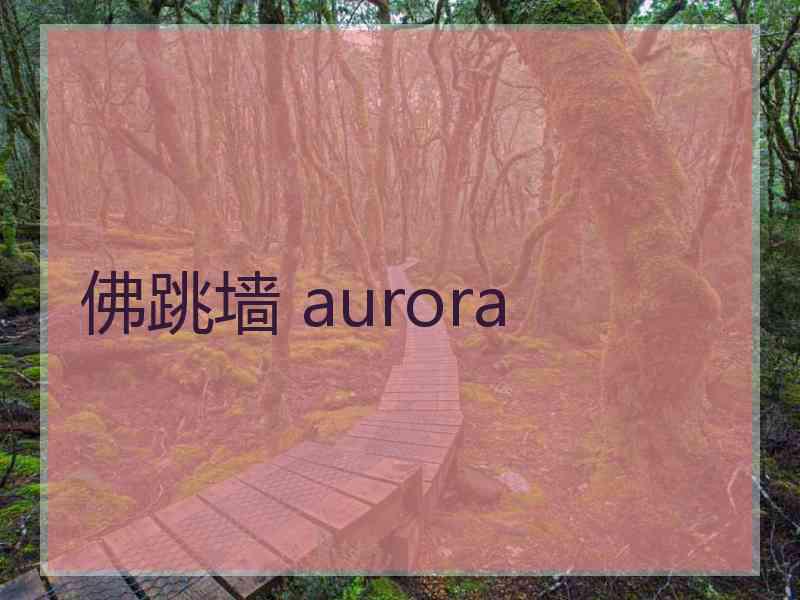 佛跳墙 aurora