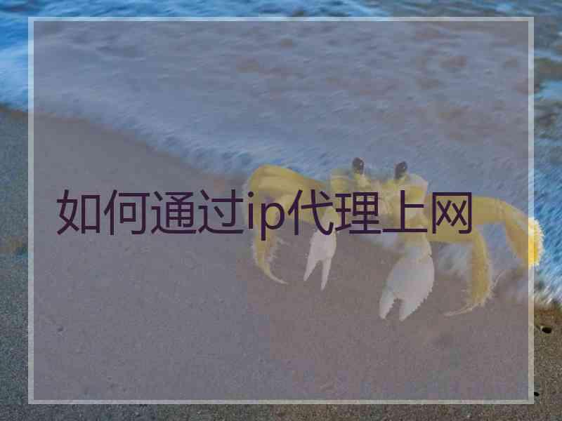 如何通过ip代理上网