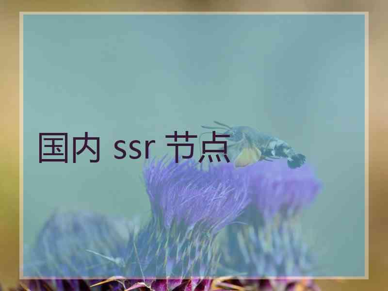 国内 ssr 节点