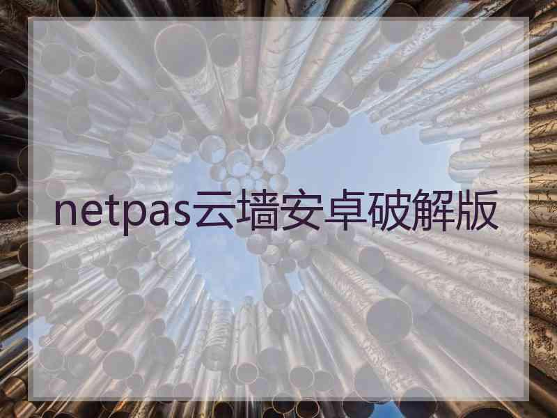 netpas云墙安卓破解版