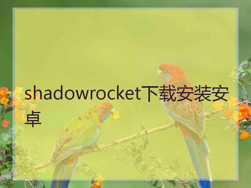 shadowrocket下载安装安卓