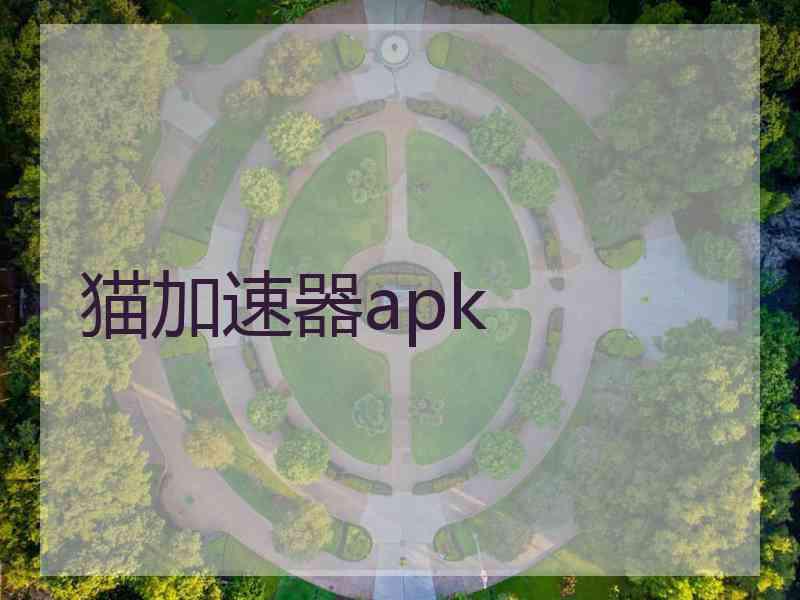 猫加速器apk