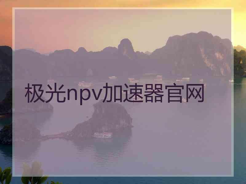 极光npv加速器官网