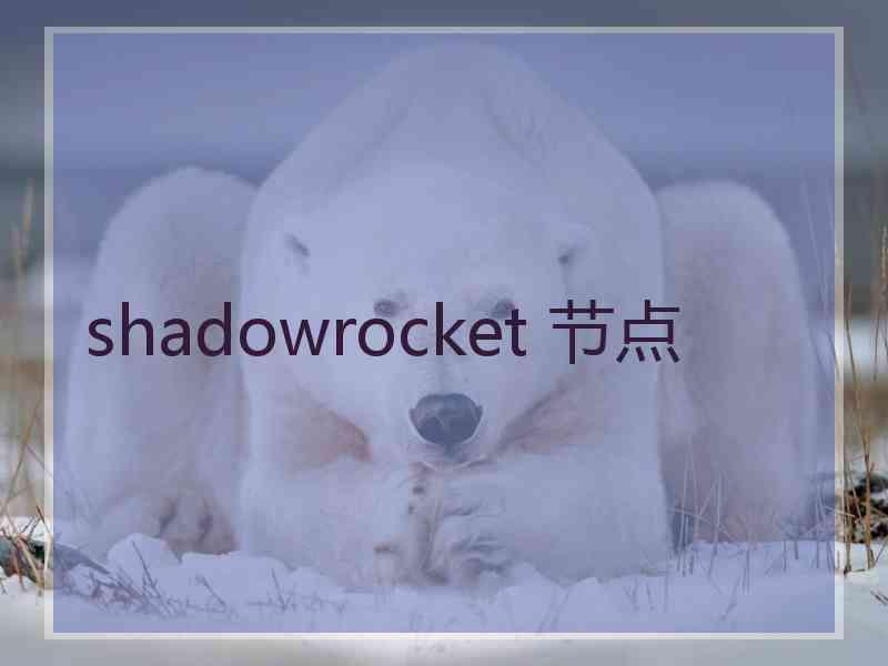 shadowrocket 节点