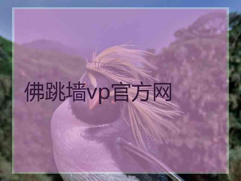 佛跳墙vp官方网