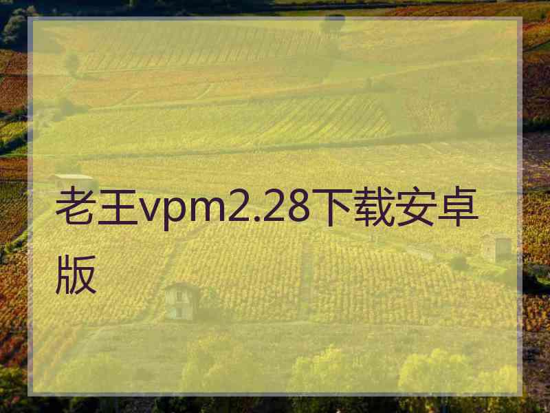 老王vpm2.28下载安卓版