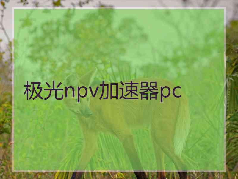 极光npv加速器pc