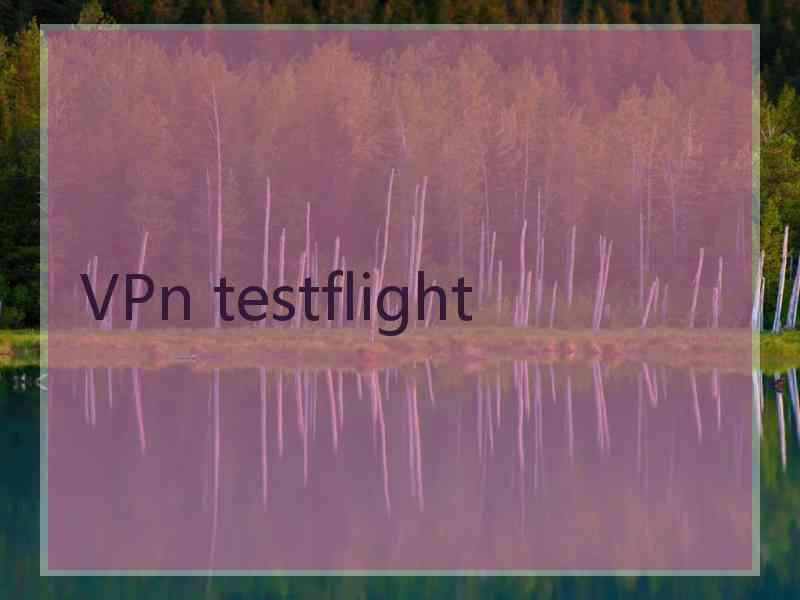 VPn testflight