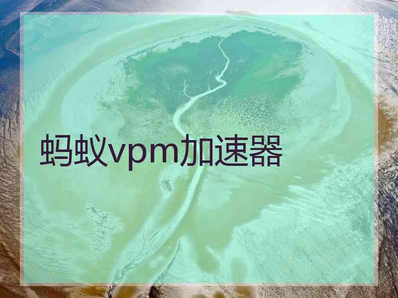 蚂蚁vpm加速器