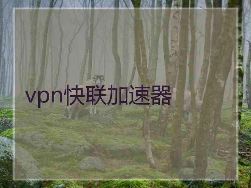 vpn快联加速器