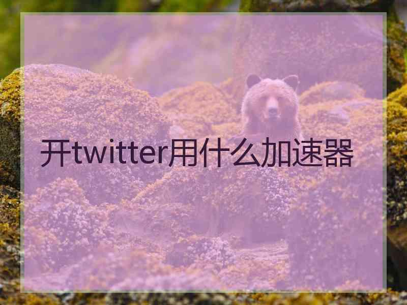 开twitter用什么加速器