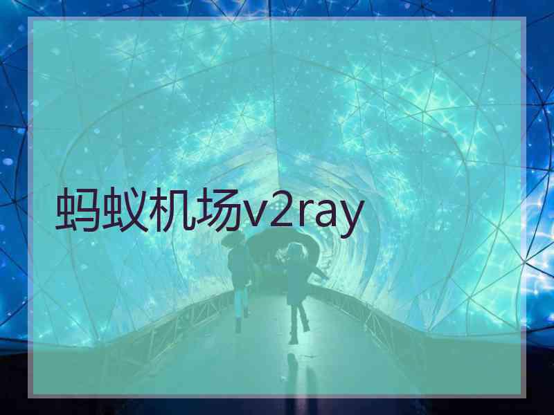 蚂蚁机场v2ray