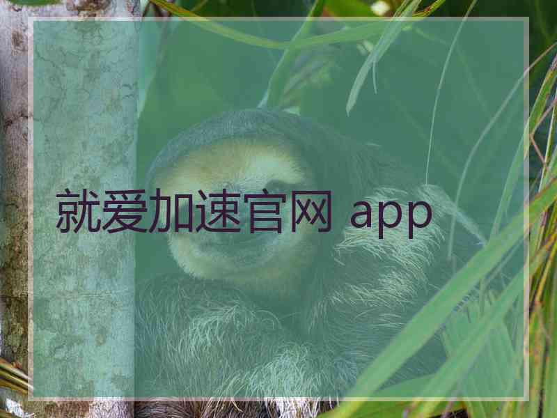 就爱加速官网 app