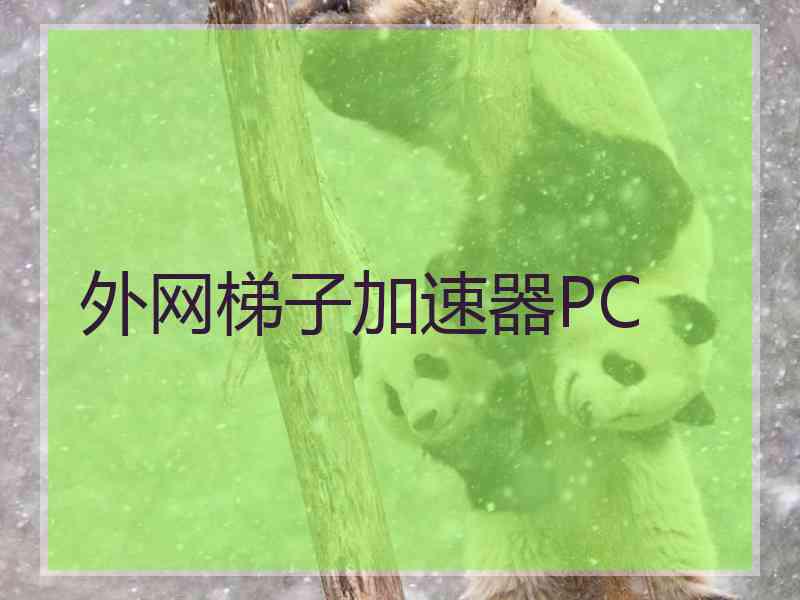 外网梯子加速器PC