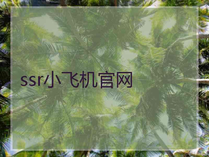 ssr小飞机官网