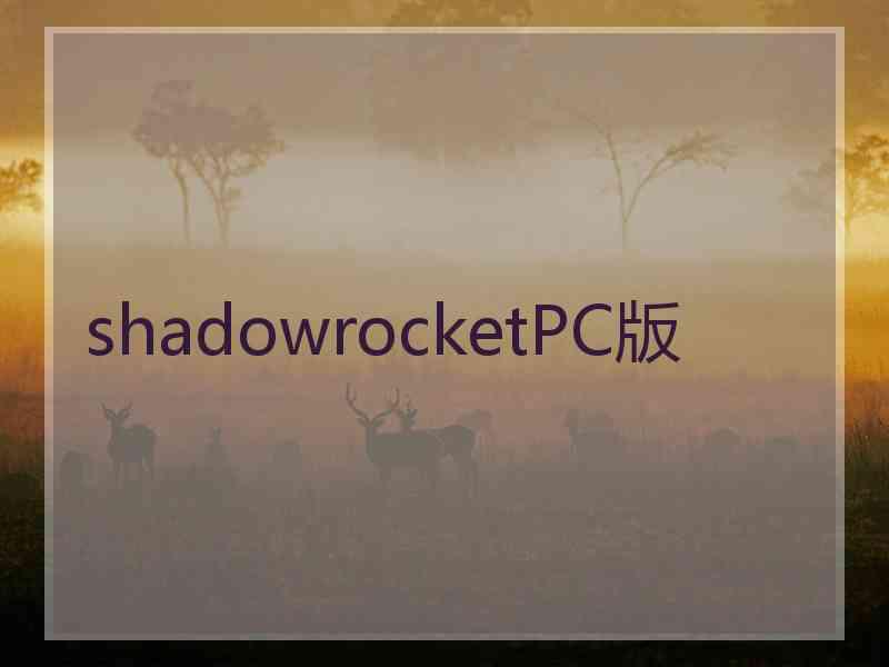 shadowrocketPC版