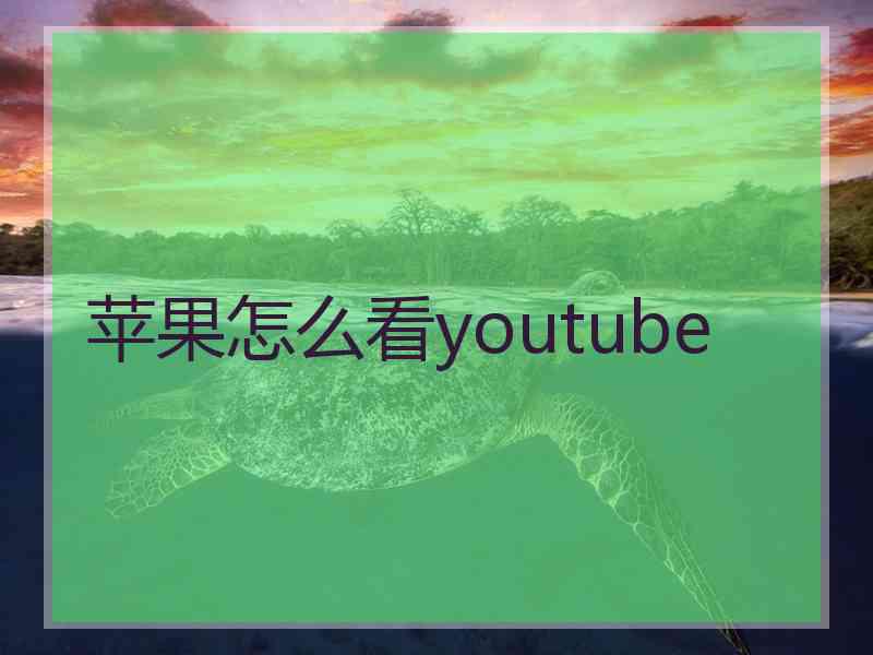 苹果怎么看youtube