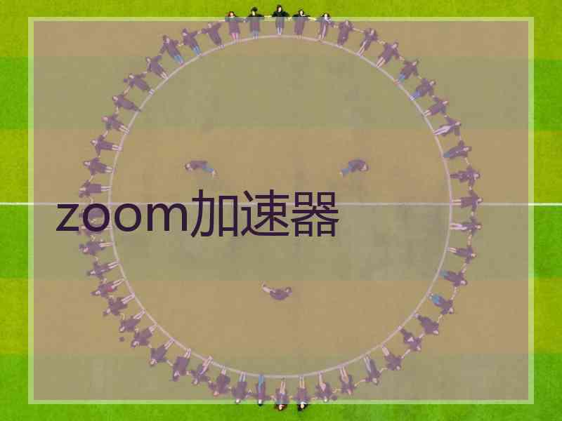 zoom加速器