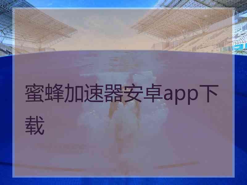 蜜蜂加速器安卓app下载