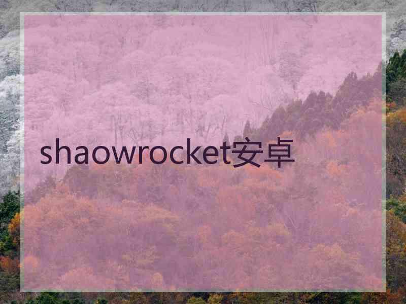 shaowrocket安卓