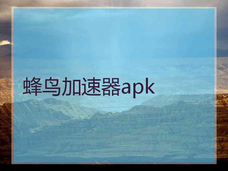 蜂鸟加速器apk