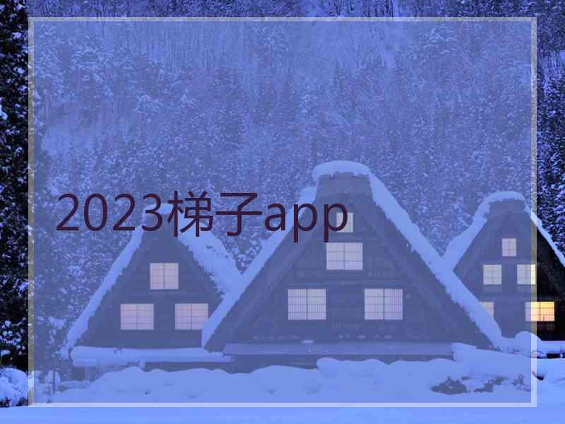 2023梯子app