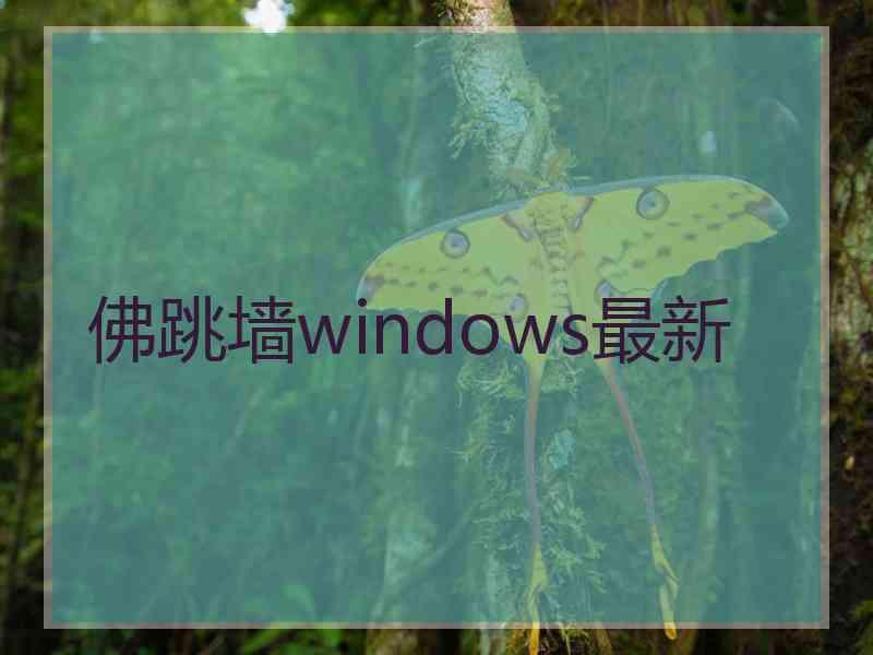 佛跳墙windows最新