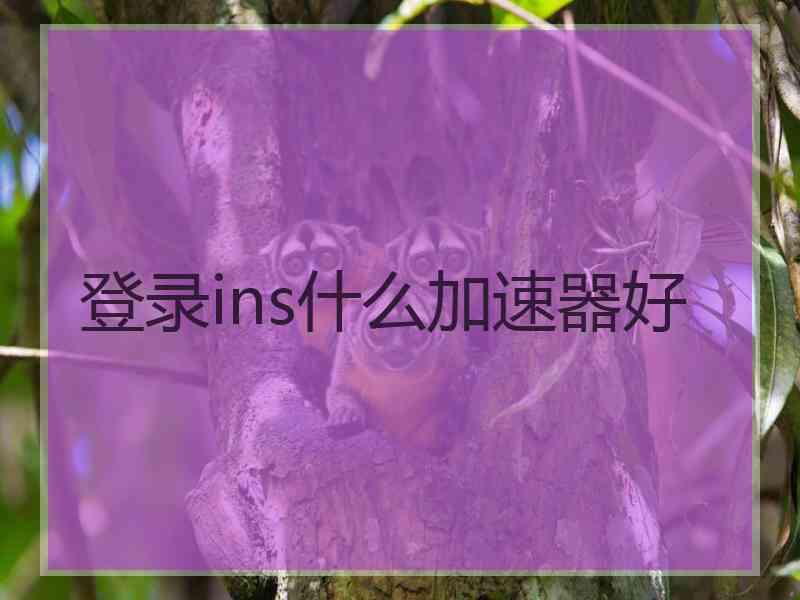 登录ins什么加速器好