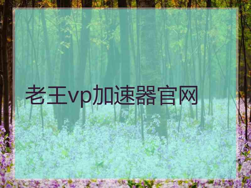 老王vp加速器官网