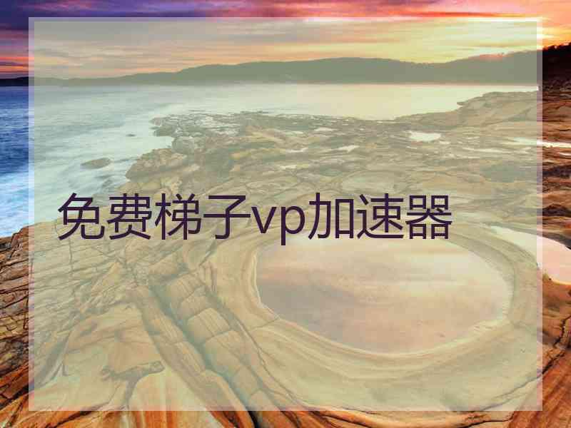 免费梯子vp加速器